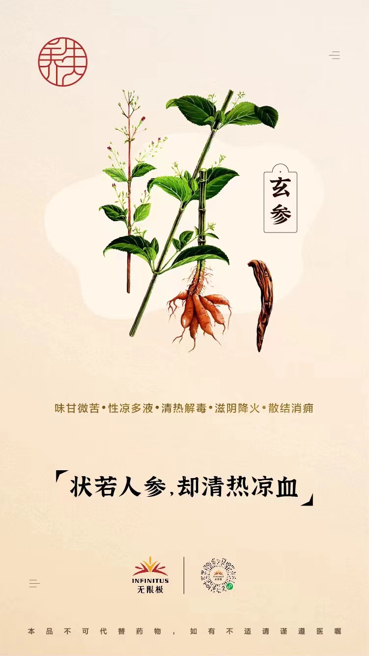 【玄参】 <br>状若人参，却清热凉血