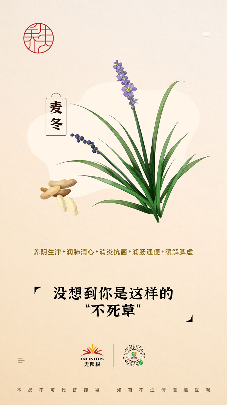 【麦冬】<br>没想到你是这样的“不死草”