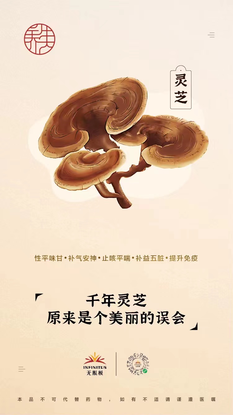 【灵芝】<br>千年灵芝，原来是个美丽的误会