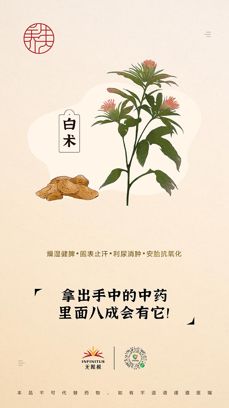 【白术】<br>拿出手中的中药，里面八成会有它！