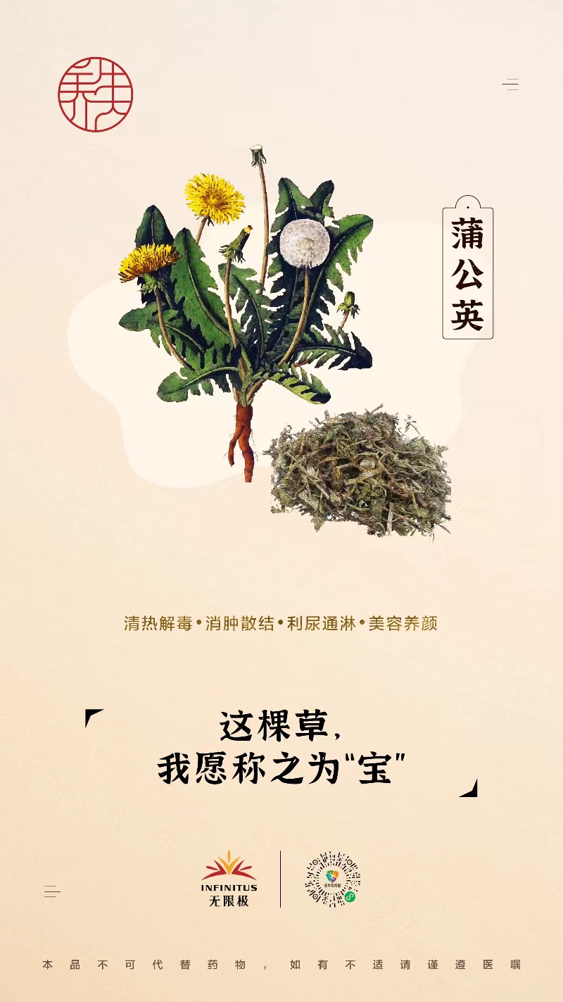 【蒲公英】<br>这棵草，我愿称之为“宝”