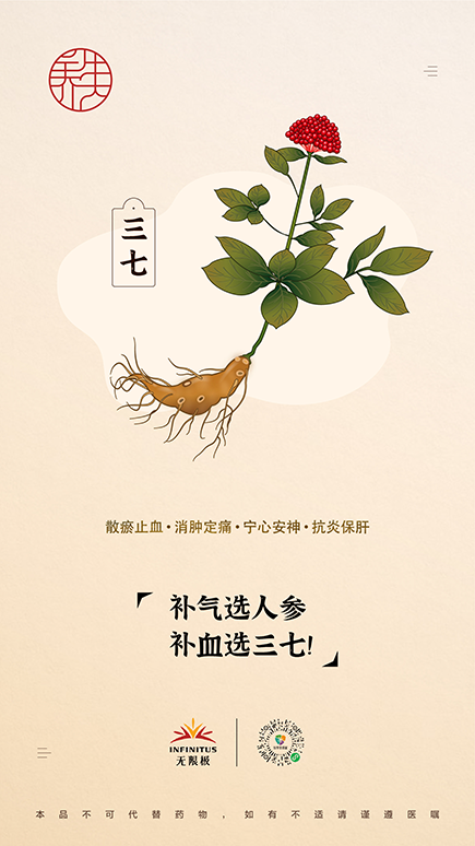 【三七】<br>补气选人参，补血选三七！