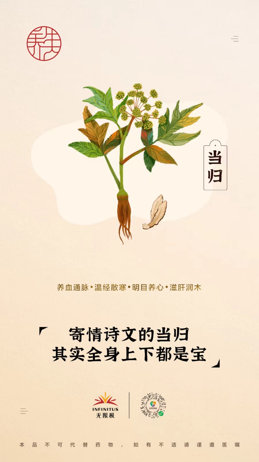 【当归】<br>寄情诗文的当归，其实全身上下都是宝