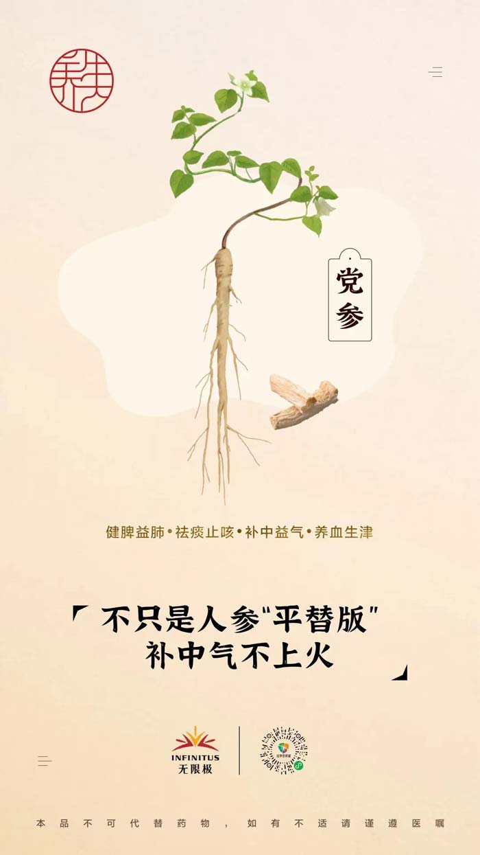 【党参】<br>不只是人参“平替版”，补中气不上火