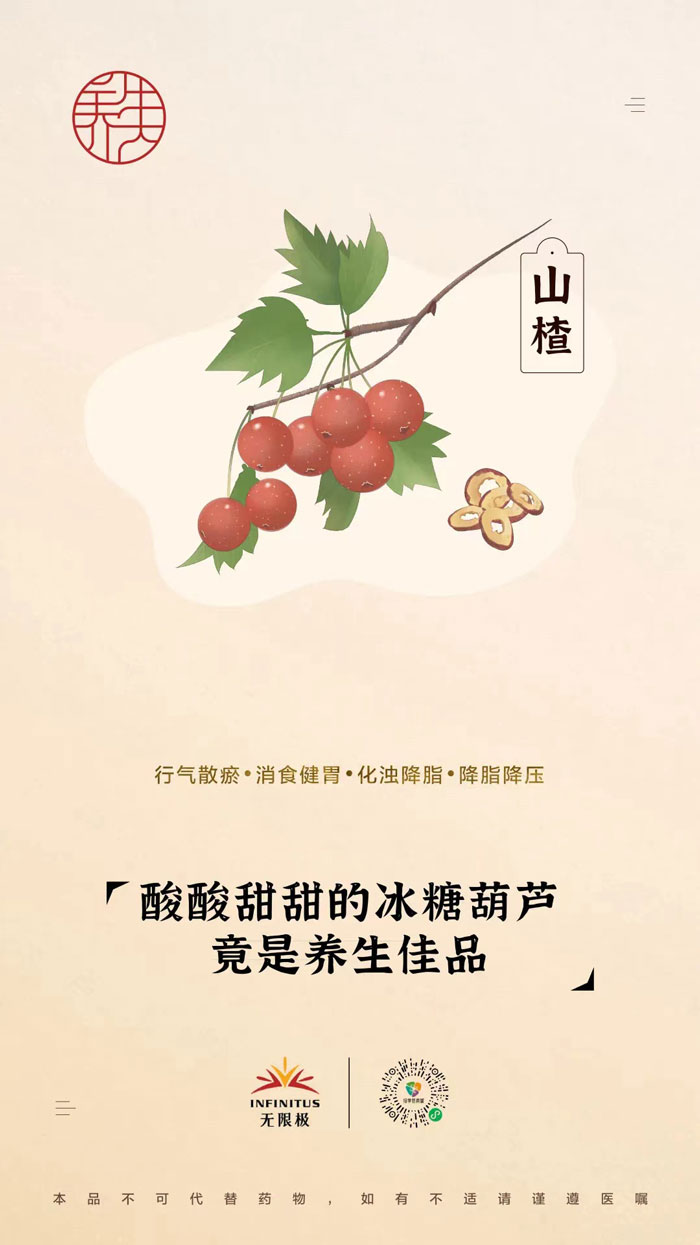 【山楂】<br>酸酸甜甜的冰糖葫芦，竟是养生佳品