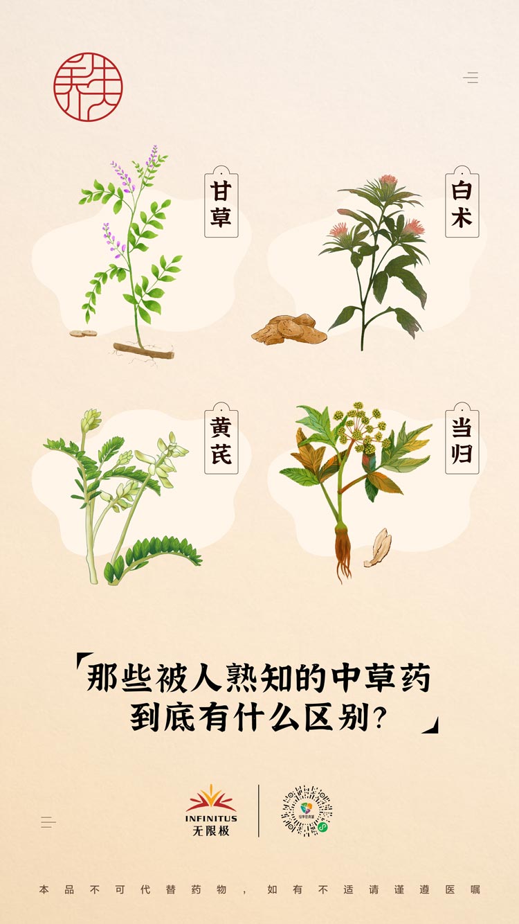 【甘草、白术、黄芪、当归】<br>那些被人熟知的中草药到底有什么区别？