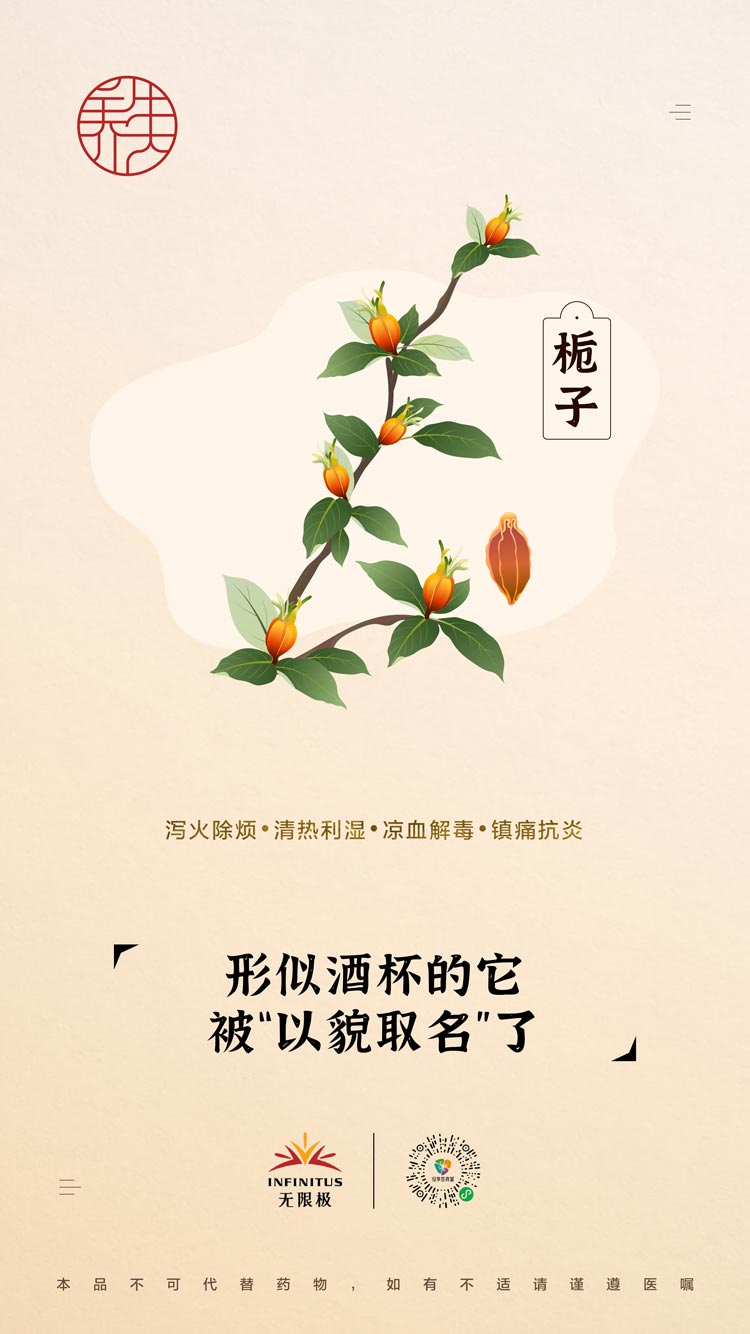 【栀子】<br>形似酒杯的它 被“以貌取名”了