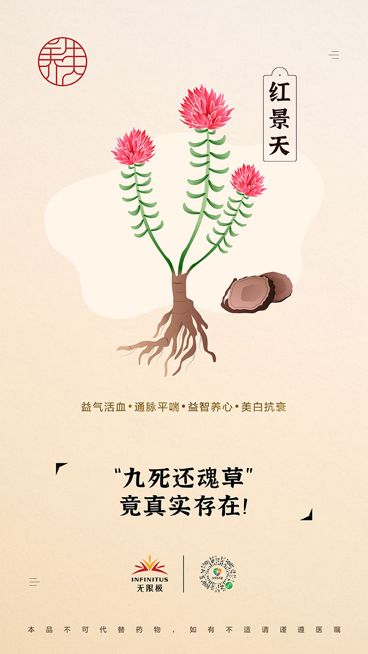 【红景天】<br>“九死还魂草”竟真实存在！