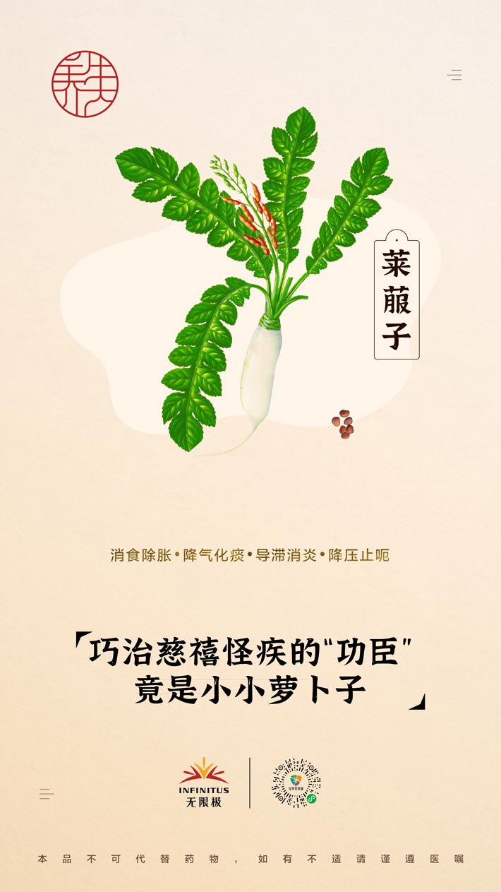 【菜菔子】<br>巧治慈溪怪疾的“功臣”竟是小小萝卜子