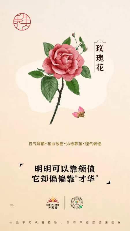 【玫瑰花】<br>明明可以靠颜值 它却偏偏靠“才华”