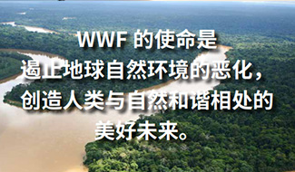 中国金融机构在推动森林友好型农产品供应链绿色转型中的作用研究（点击观看全文）