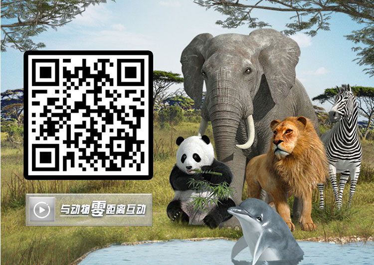 网易传媒