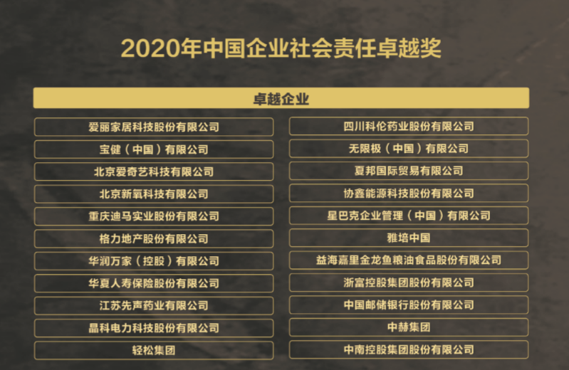 2020年中国企业社会责任卓越奖