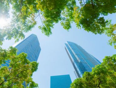 奥的斯中国总裁郑培明：节能减排是常态