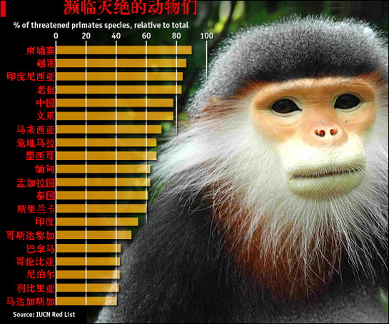 濒临灭绝的动物们_今日一瞥_经济观察网_200