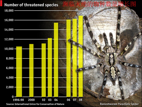 濒临灭绝的动物们