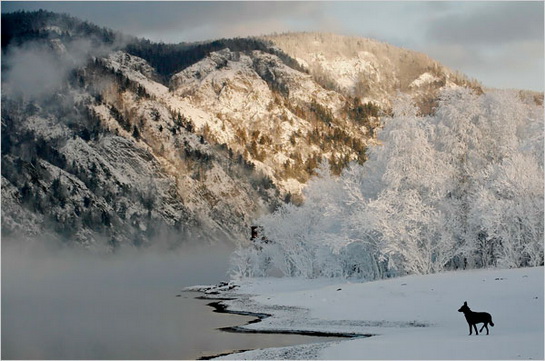 俄罗斯,西伯利亚雪景.