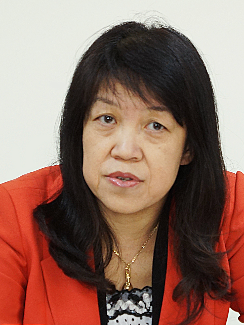 1、文林峰女士 住建部住宅产业化促进中心副主任.jpg